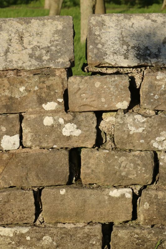 Stone Wall Repair in Lake Worth, FL